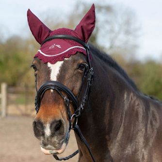 Horse Wear