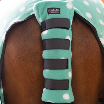 Horse Quarter and Tail Guards