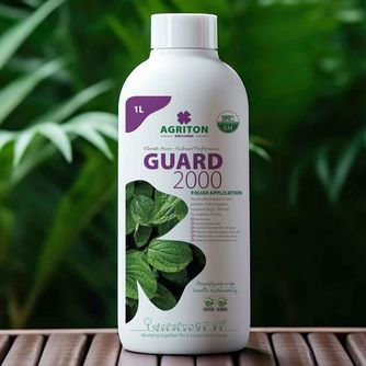 Effective Micro-Organisms (EM)