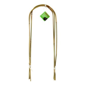 Plant Support