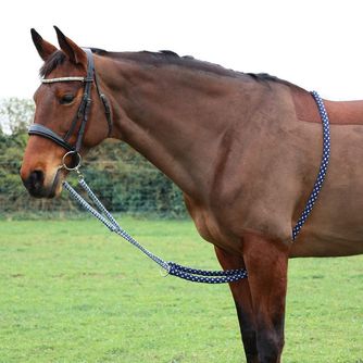 Horse Training