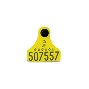 Allflex Single Replacement Cattle Tag alternative