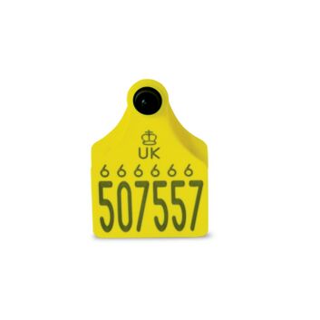 Single Replacement Cattle Tag