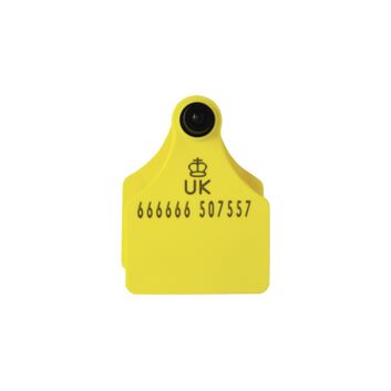 Single Replacement Cattle Tag