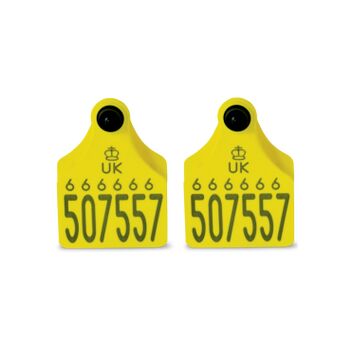Double Replacement Cattle Tag