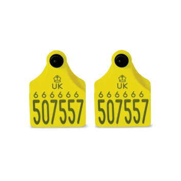 Allflex Double Replacement Cattle Tag alternative