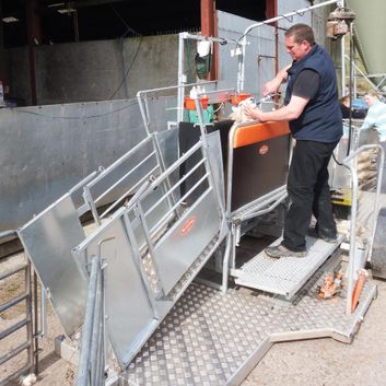 Ritchie Combi Clamp 3 Way Shedding Gate alternative