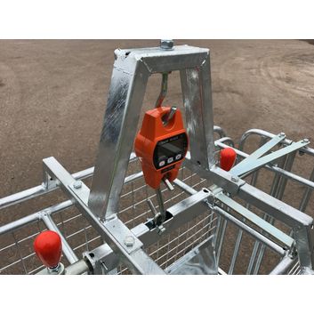Ritchie Galvanised Digital Lamb Weigher alternative