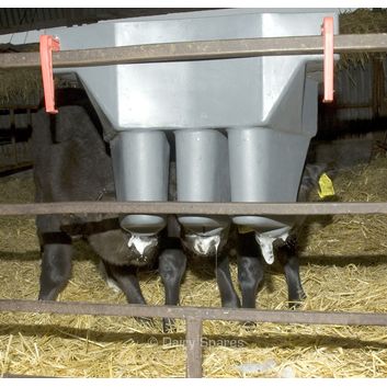 Milk Bar™ 3 Compartment Calf Feeder with Ezi-Lock Hooks alternative
