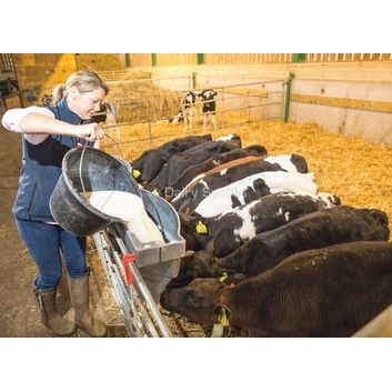 Milk Bar™ 6 Calf Feeder with Ezi-Lock Hooks alternative