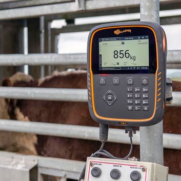 Gallagher TW-1 EID Animal Weigh Scale alternative