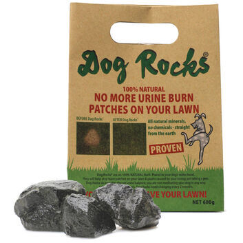 Podium Pet Products Dog Rocks