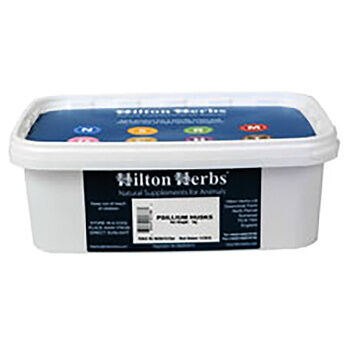 Hilton Herbs Psyllium Husks - 1 KG