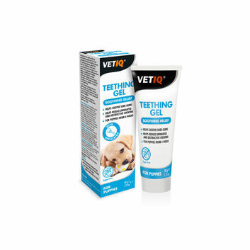 VetIQ Teething Gel for Puppies - 50 GM