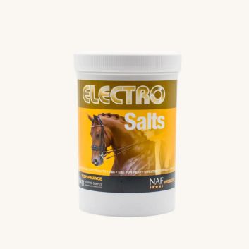 NAF Electro Salts For Horses