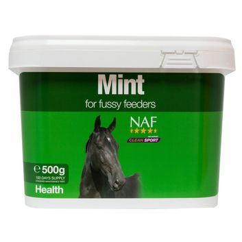 NAF Mint - 500 GM