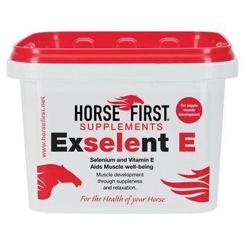Horse First Exselent E