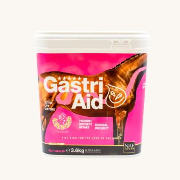 NAF GastriAid Formula For Horses alternative