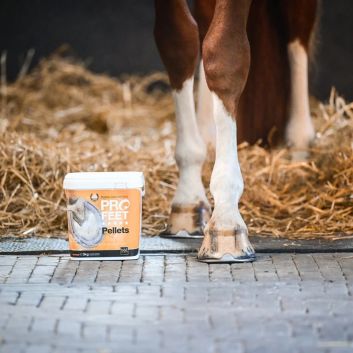 NAF Five Star Pro Feet Pellets - 3 KG alternative
