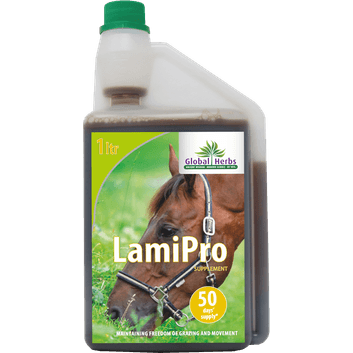 Global Herbs LamiPro Digestive Supplement alternative