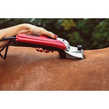 Liveryman Black Beauty Mains Horse Clipper alternative