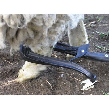 Super Crook Shepherd's Crook alternative