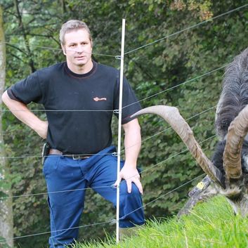 25 x Gallagher Inox Clip 10mm for Fibreglass Post alternative