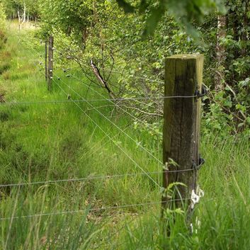 175 x Gallagher W-insulator super white alternative