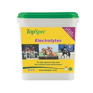 Topspec Electrolytes High Salt Formula