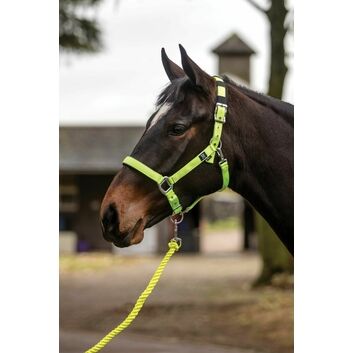 Mark Todd Headcollar Deluxe Padded With Lead Rope Fl.Yellow