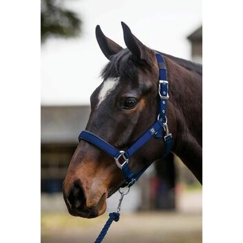 Mark Todd Headcollar Deluxe Padded With Lead Rope Navy
