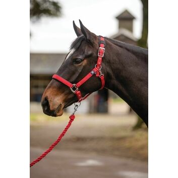 Mark Todd Headcollar Deluxe Padded With Lead Rope Red