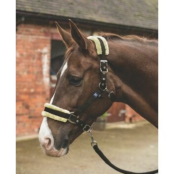 Mark Todd Headcollar Fleece Lined & Lead Rope Brown/Natural