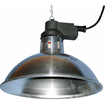Intelec Traditional Infra-Red Lamp 11 3/4 Inch Shade