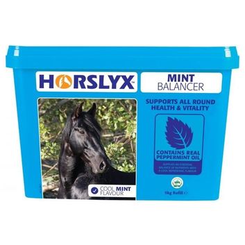 Horslyx Mint Balancer Lick alternative