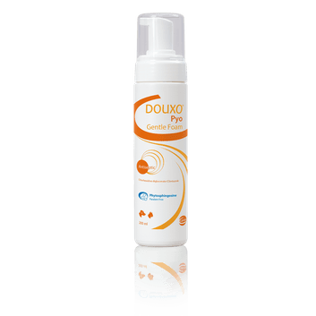Ceva Douxo Pyo Gentle Foam For Dogs/Cats