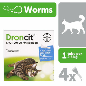 Drontal Droncit Spot-On Tubes For Cats
