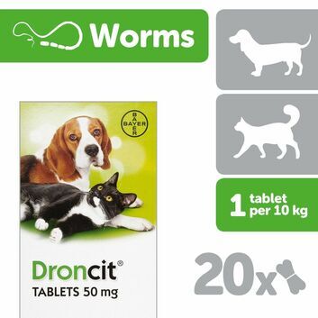 Drontal Droncit Tablets For Cats & Dogs