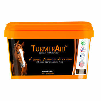 Golden Paste Company TurmerAid