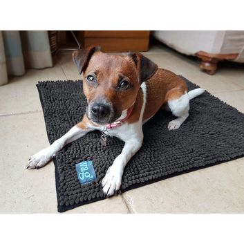 Henry Wag Microfibre Noodle Pet Mat alternative