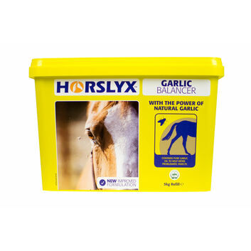 Horslyx Garlic Balancer Lick