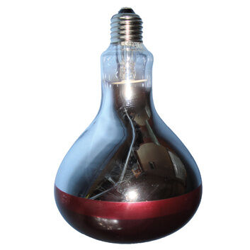 Intelec Hard Glass Infra-Red Bulb Ruby