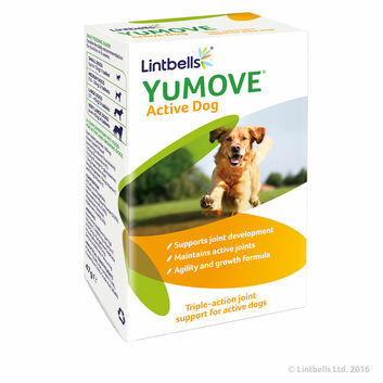 Lintbells Yumove Active Dog Tablets