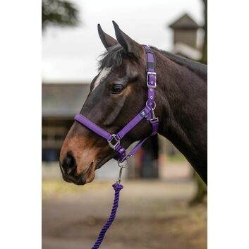 Mark Todd Headcollar Deluxe Padded With Lead Rope Purple