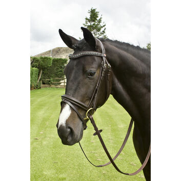 Whitaker Lynton Flash Bridle with Spare Browband Black