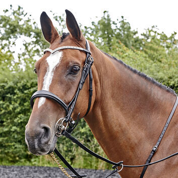 Whitaker Lynton Snaffle Bridle with Spare Browband Havana
