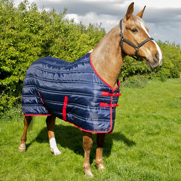 Whitaker Stable Rug Thomas 250G Navy/Red