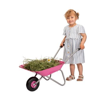 Rolly Toys Metal Children's Wheelbarrow Pink alternative