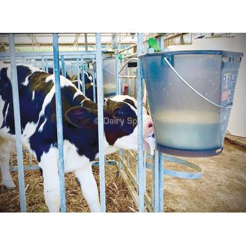 Milk Bar™ Euro Calf Bucket Single Teat Feeder - MBA07A alternative