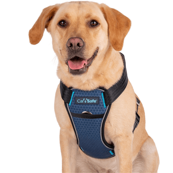Carsafe Crash Tested Dog Harness Black alternative